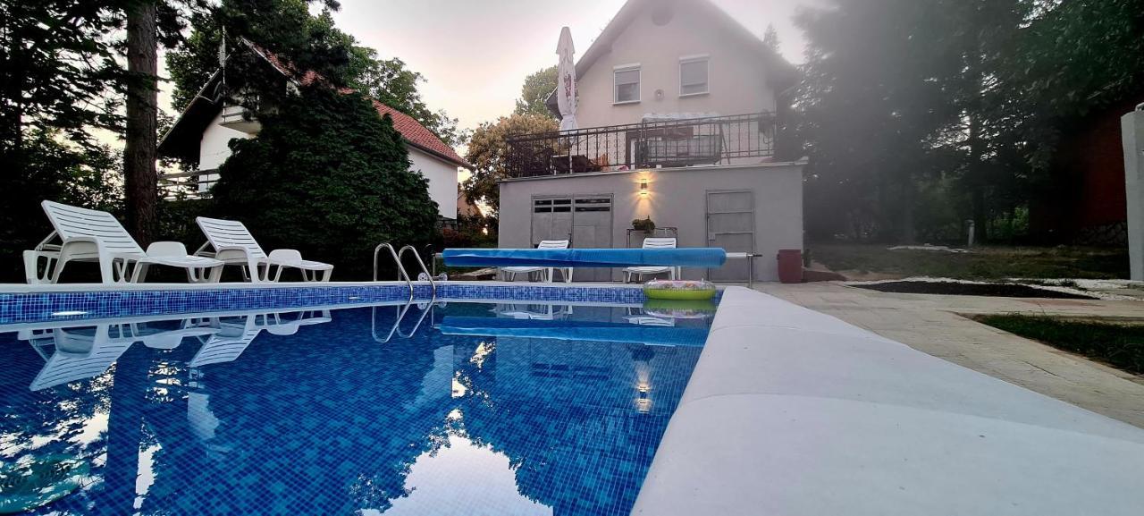 Vila Sinfonia, A House With A Pool Villa Velika Remeta Exterior photo